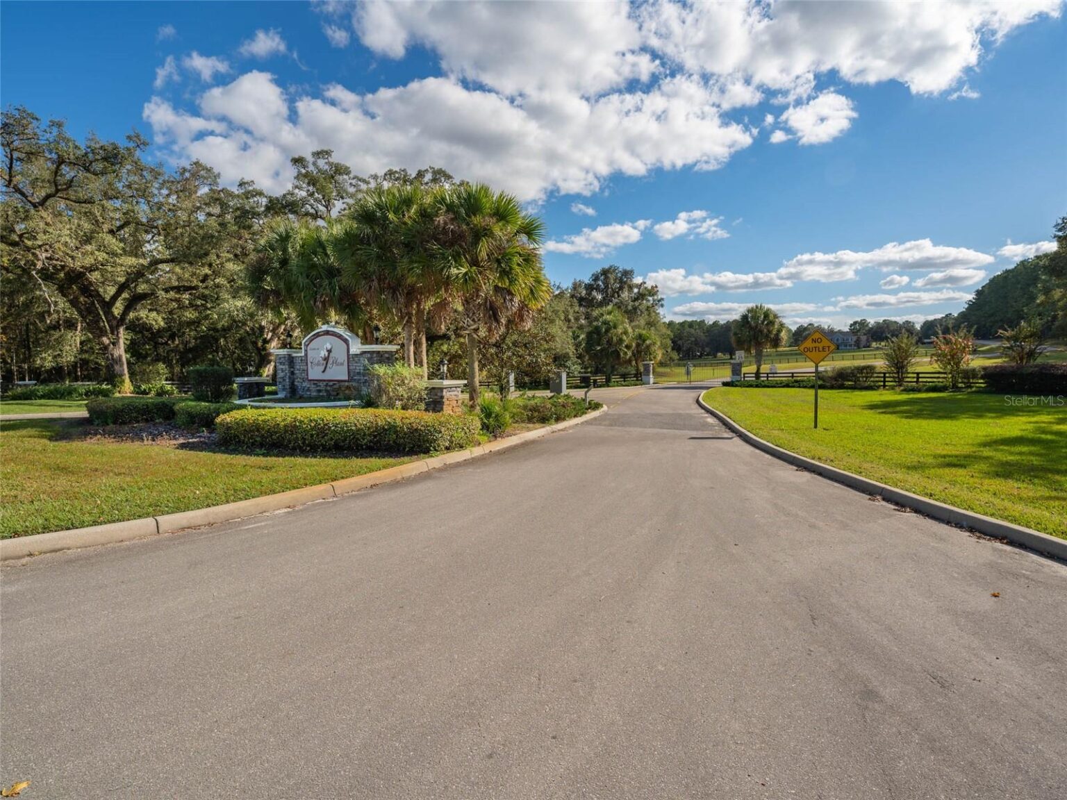Estates at Cotton Plant Southwest Ocala
